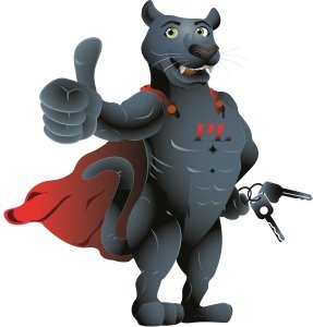Panther Locksmiths